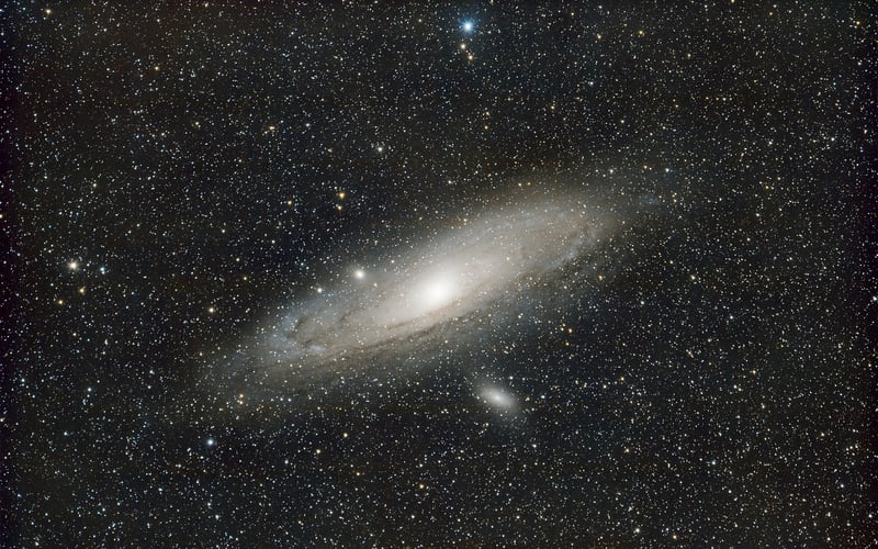 Galaxy Garden