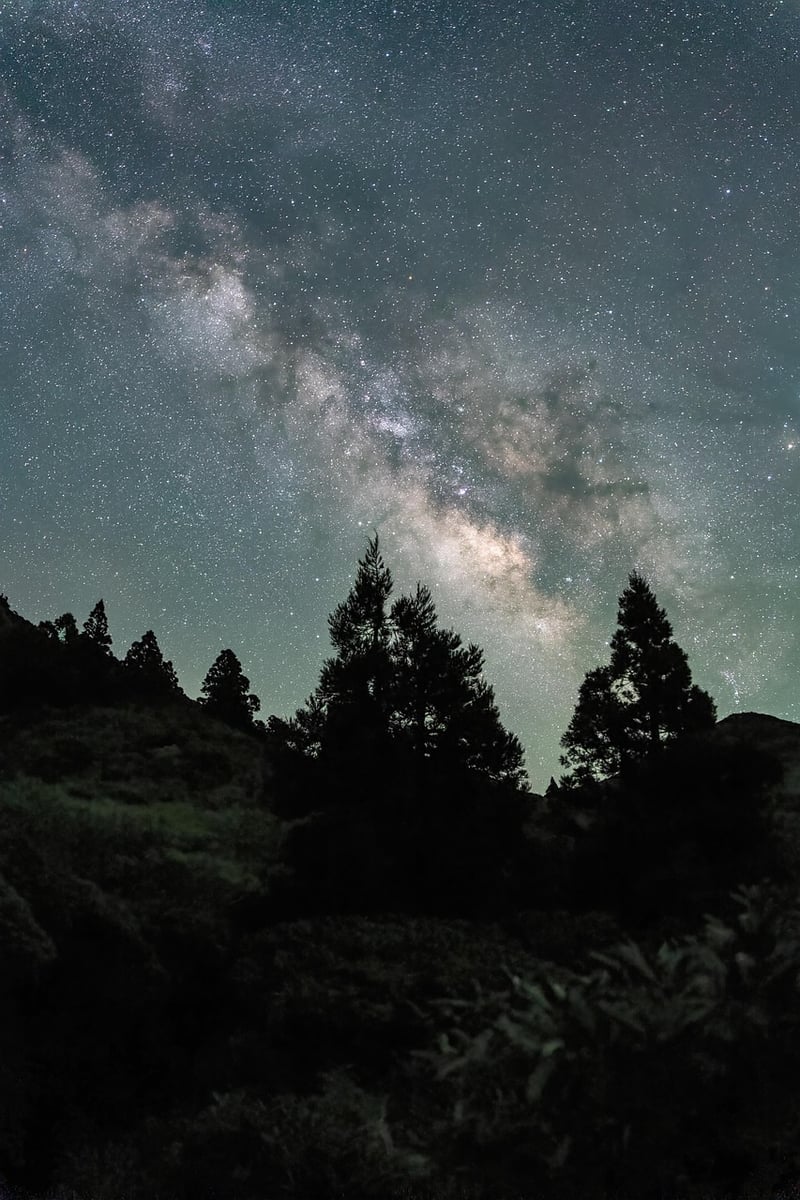 Cosmic Favors